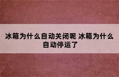 冰箱为什么自动关闭呢 冰箱为什么自动停运了